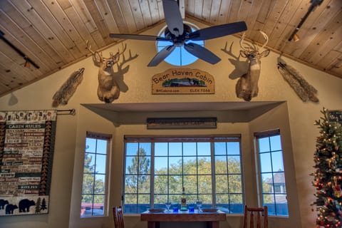 Bear Haven Cabin
