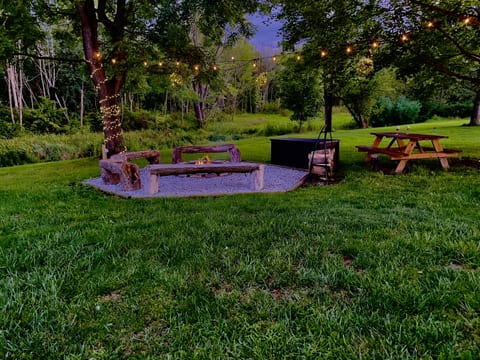 Vineyard View