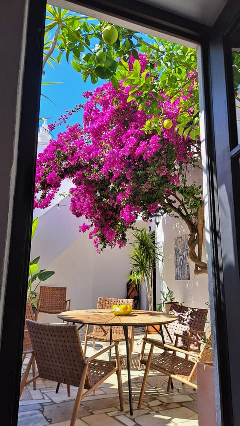 Courtyard view through kitchen door