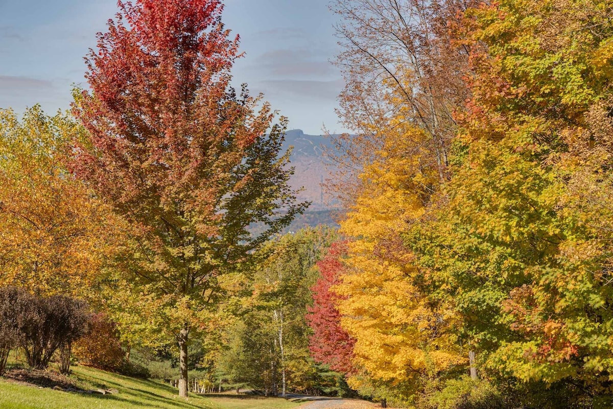 There are unique vantage points of the mountains at every corner. There are unique vantage points of the mountains at every corner. - Modern Retreat ~ Stunning Mountain View ~ Hot Tub! - Stowe