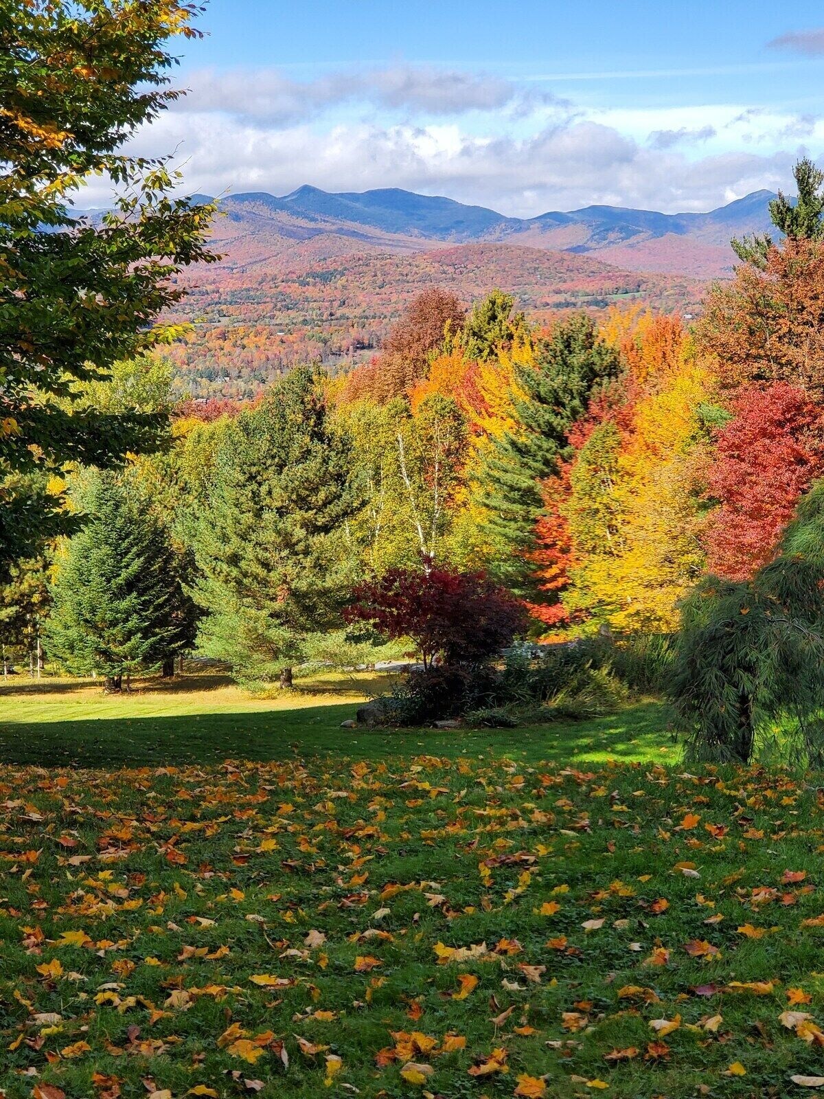 The mountains on a vibrant fall afternoon. The mountains on a vibrant fall afternoon. - Modern Retreat ~ Stunning Mountain View ~ Hot Tub! - Stowe
