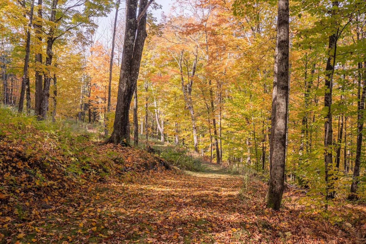 Enjoy the private walking trail above the house. Enjoy the private walking trail above the house. - Modern Retreat ~ Stunning Mountain View ~ Hot Tub! - Stowe