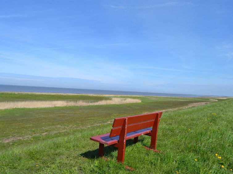 adine-13km-from-the-sea/