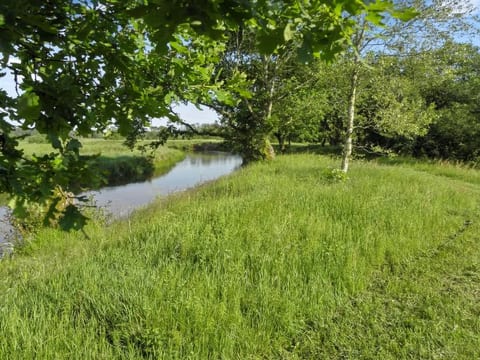 Place