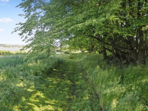 Place