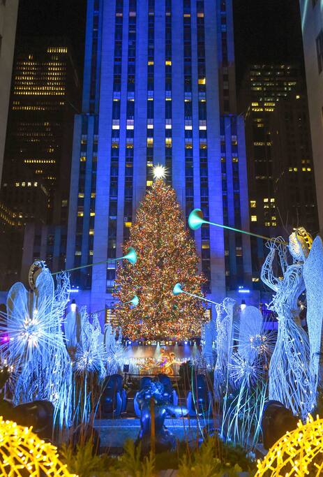 Rockefeller Center see the Christmas lights :) - Relaxing & cozy SPA. apt in Brooklyn mins to MHTN - Brooklyn