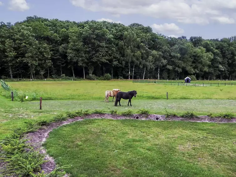 Familieboerderij - Losser