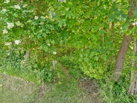 Place
