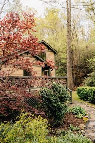 This driveway view shows the cabin's natural surroundings, offering privacy and a connection to nature. Mature native plants, babbling creek, and towering trees create a sense of being nestled in the forest while enjoying all the comforts of home.