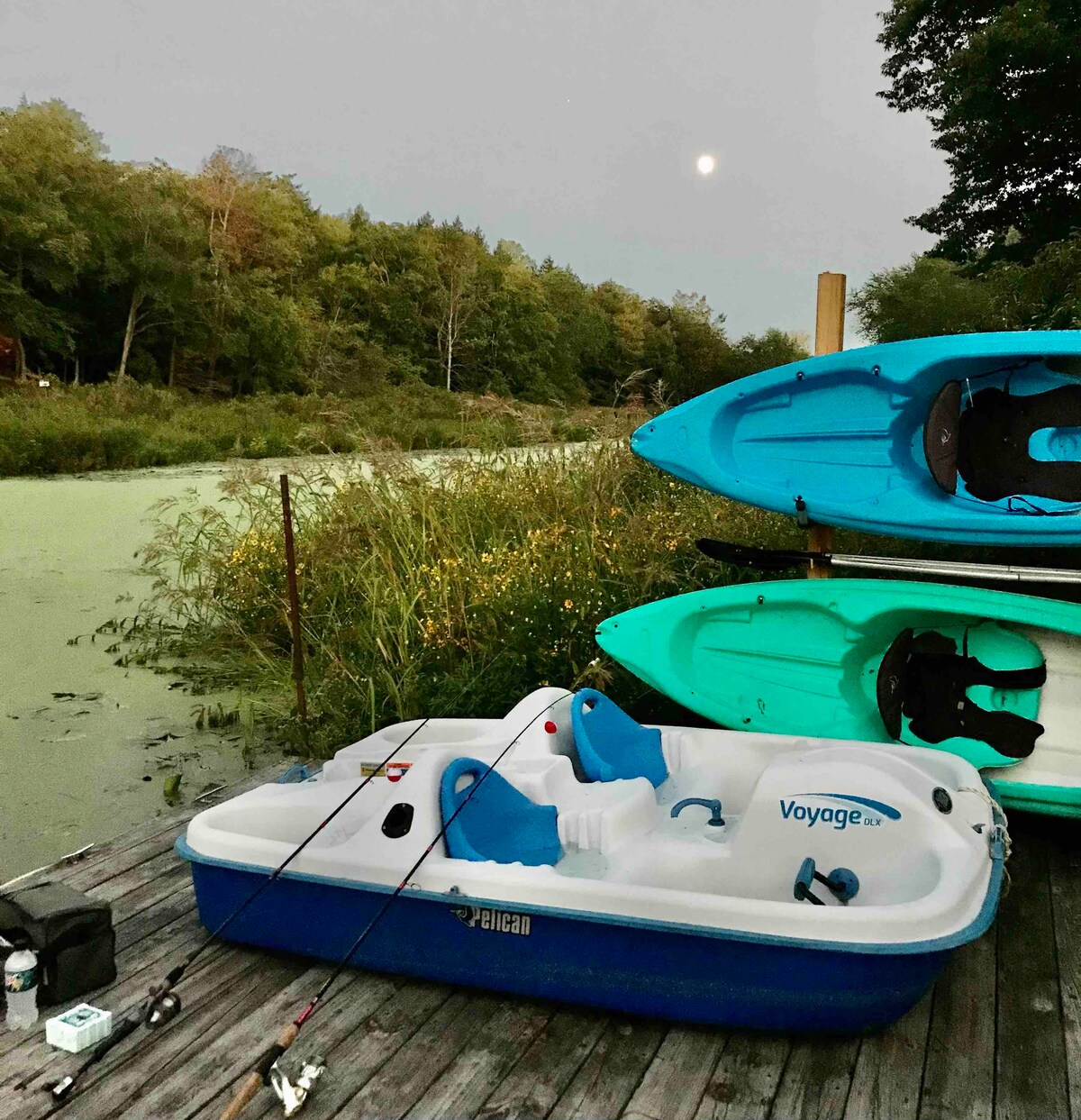 Serene Port Bay Cottage - Wolcott