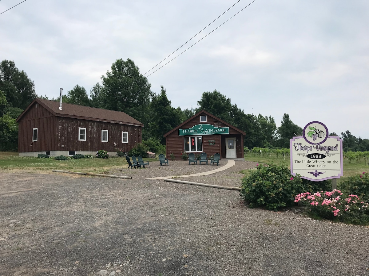 Serene Port Bay Cottage - Wolcott