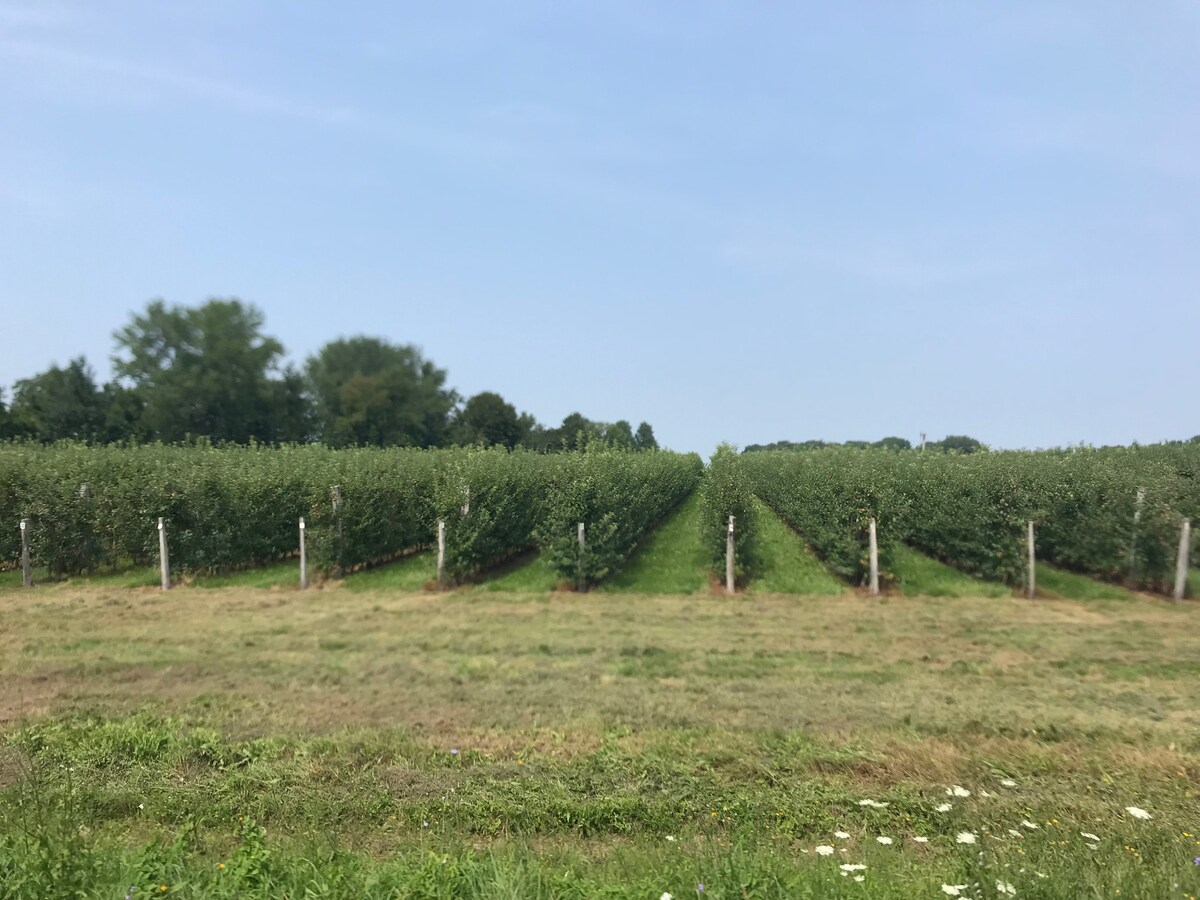 Serene Port Bay Cottage - Wolcott