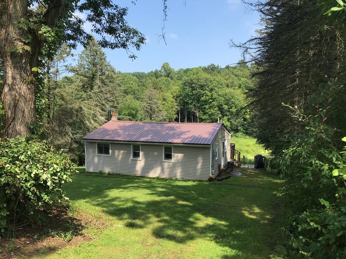 Serene Port Bay Cottage - Wolcott