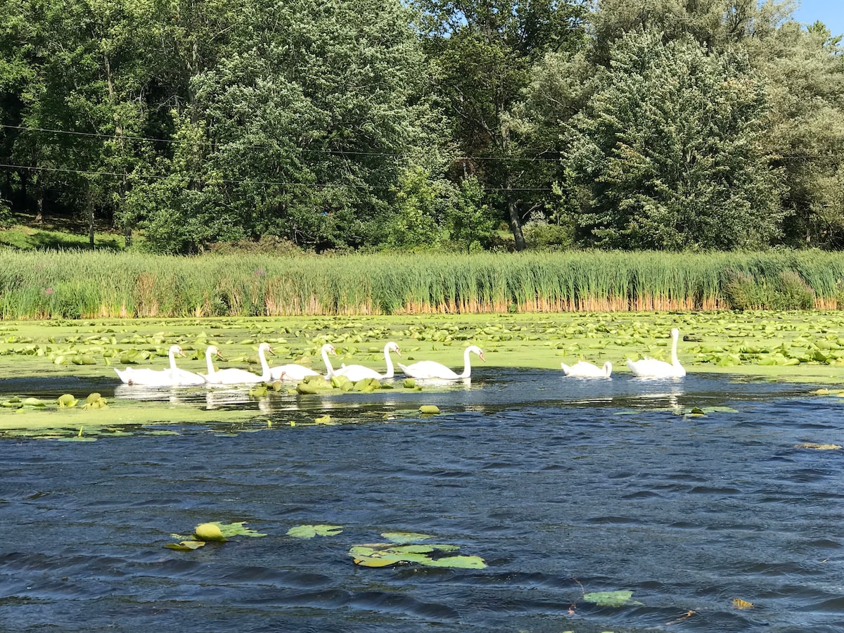 Serene Port Bay Cottage - Wolcott