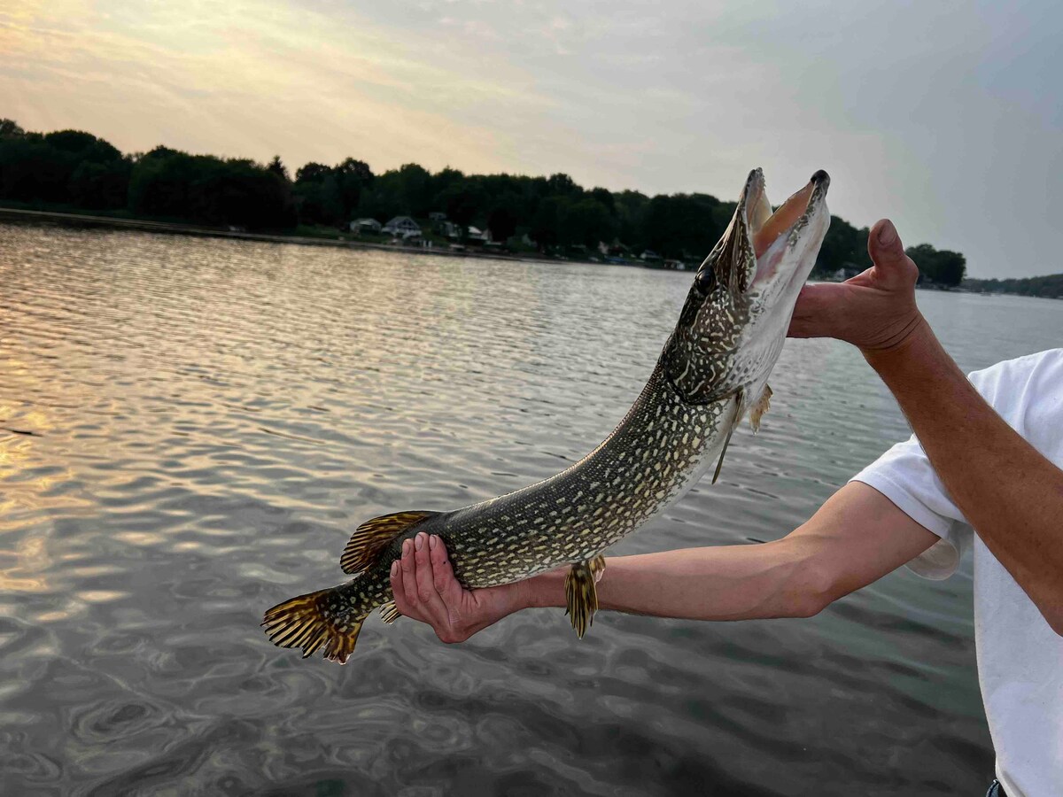 Serene Port Bay Cottage - Wolcott