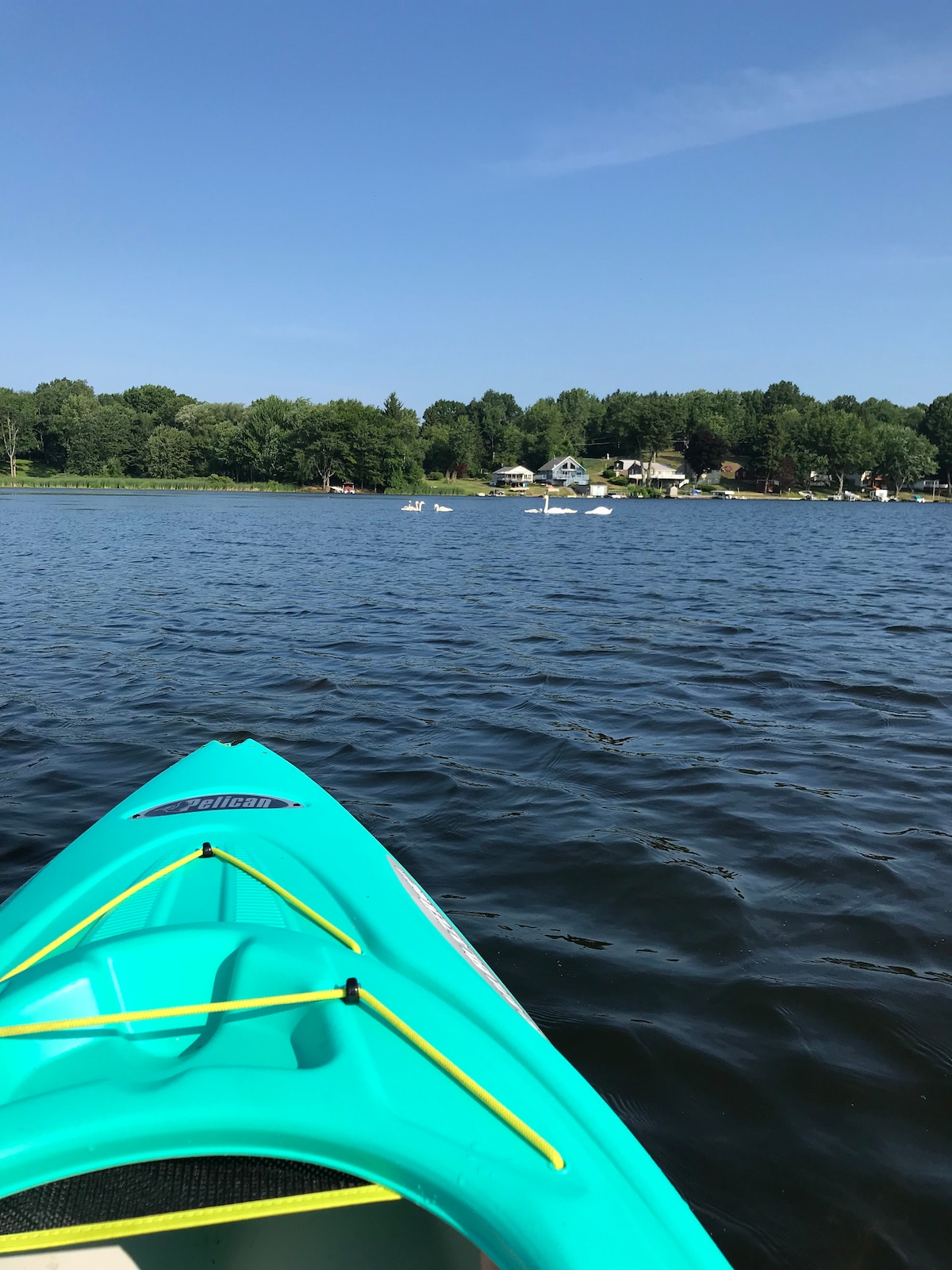 Serene Port Bay Cottage - Wolcott