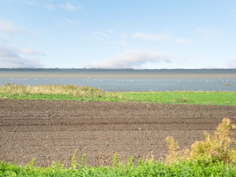 kielo-10km-from-the-sea/