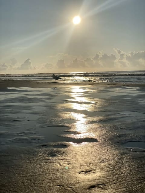 Sunset on the beach.
