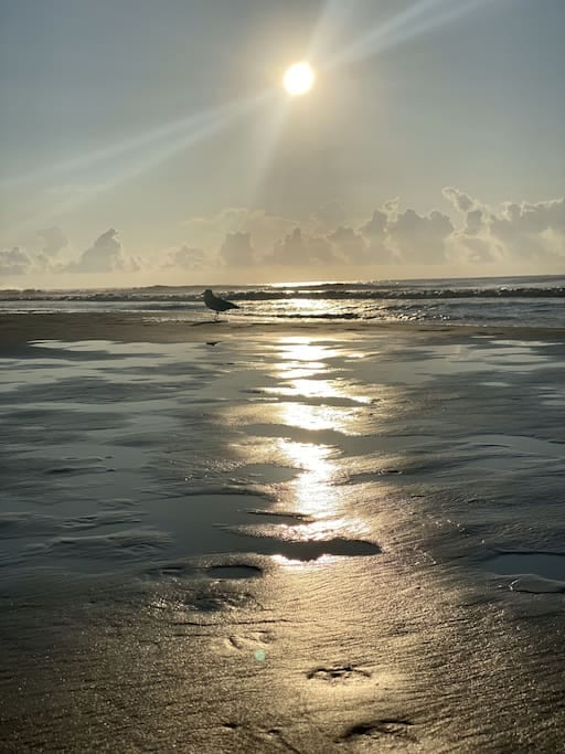 Sunset on the beach.