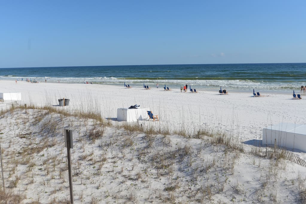 Beach View in Early Spring