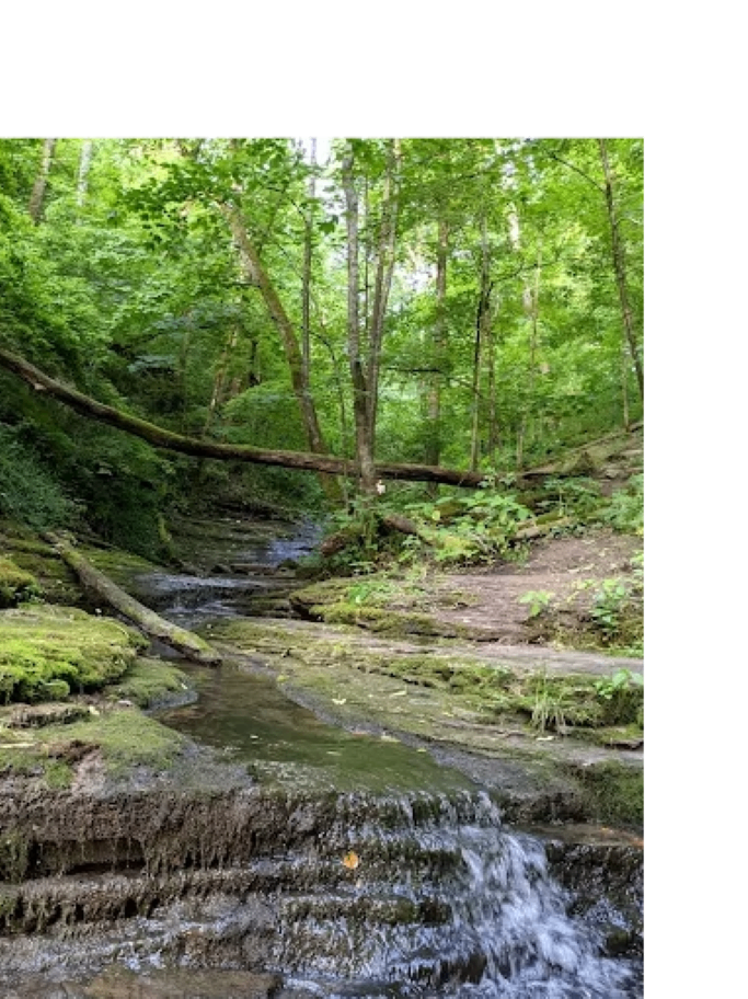 Jessamine Creek Gorge