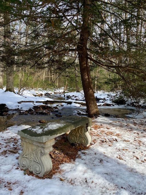 This is right at the end of our property. Beautiful, serene spot.