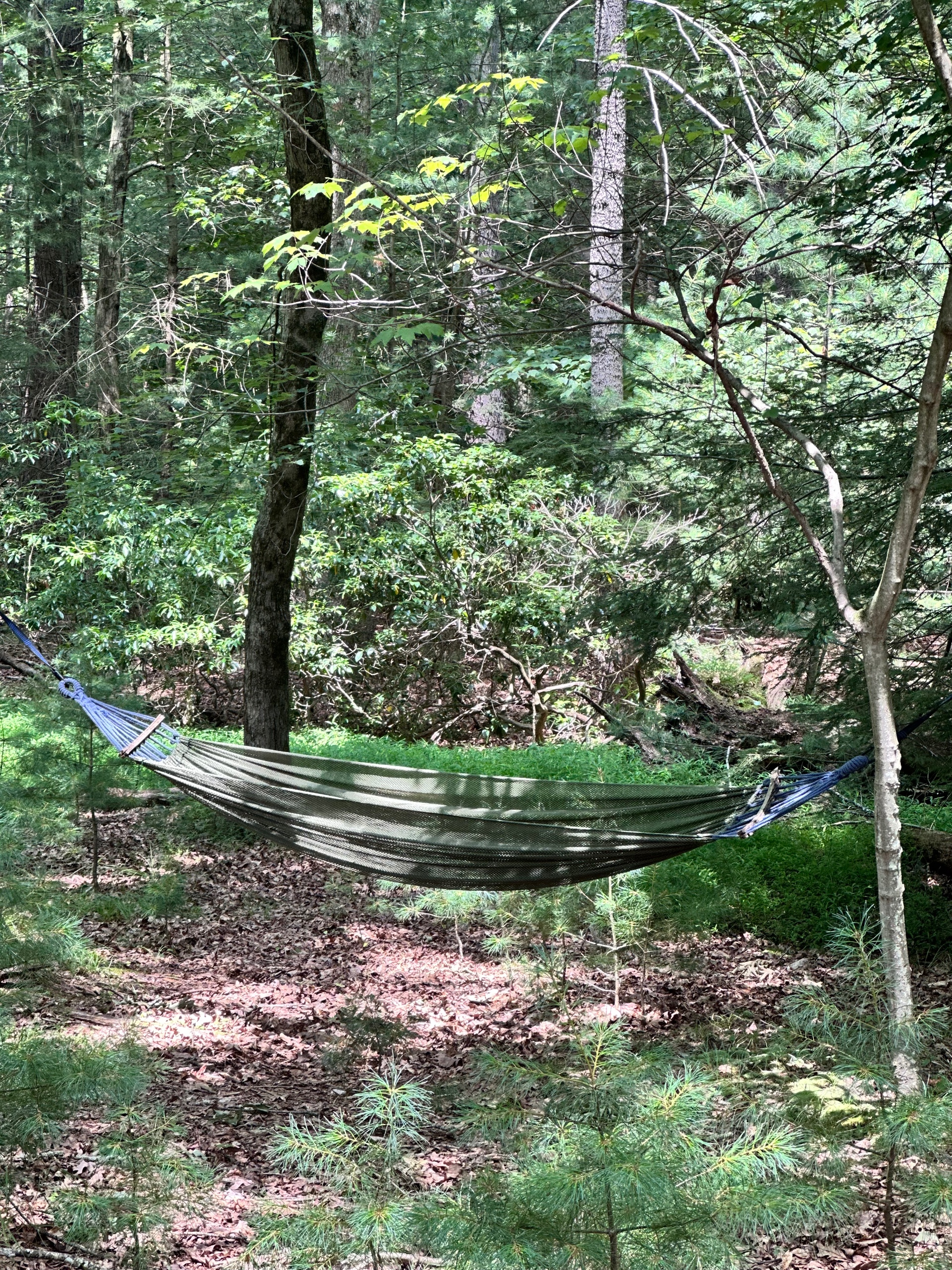 Part way down the backyard kick up your feet and enjoy a good book or snooze in the hammock.