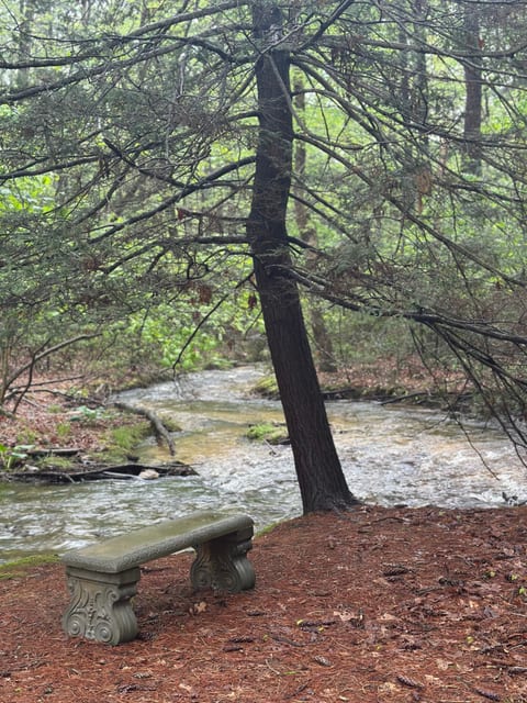 Rest on our bench by Mountain Creek. We always see wildlife here. 