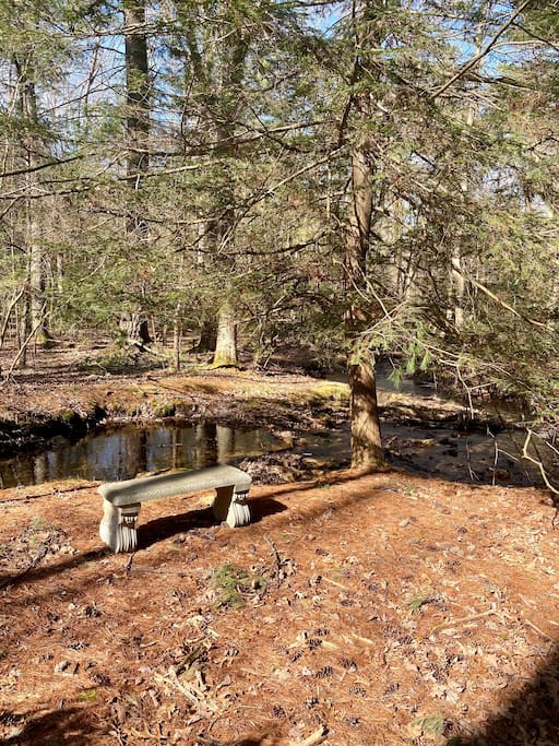 Mountain Creek flows at the bottom of our property.