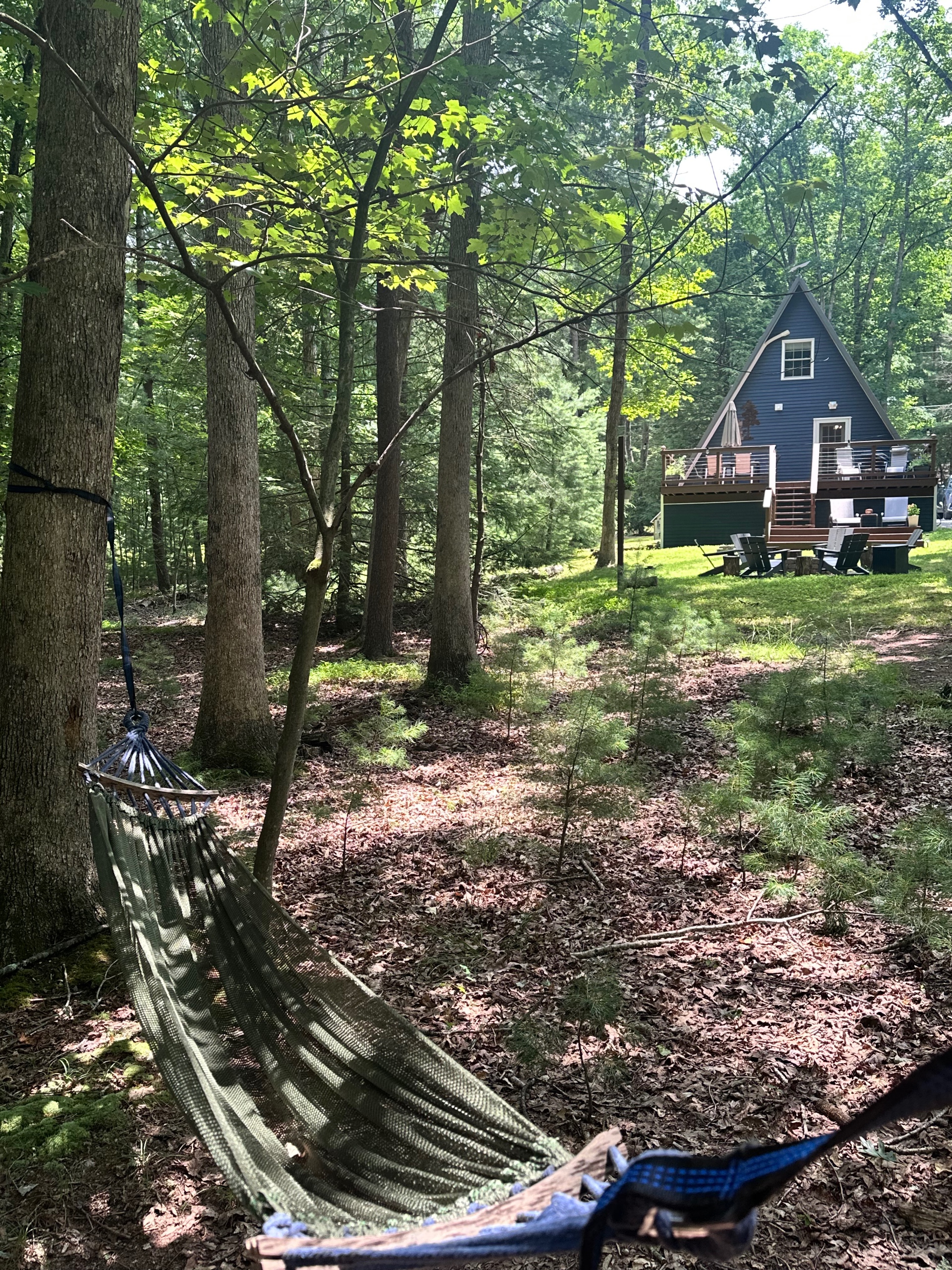 One of my favorite views of Angled Pine is from the hammock part way down the backyard.
