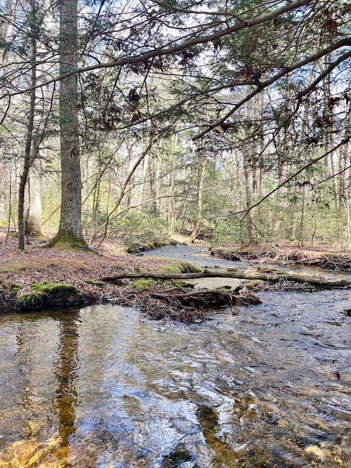 Mountain Creek, right at the end of our property.