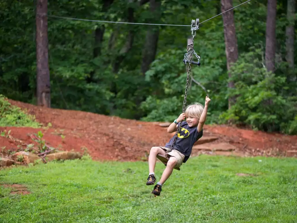 Mini - kid zipline in backyard. 
 - Book Direct and Save! A Touch of Luxury-Lake Lure - Mill Spring