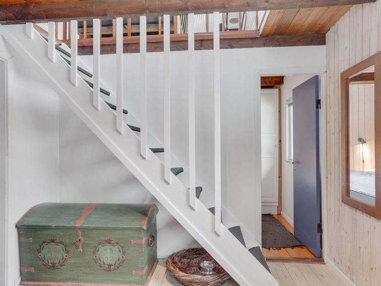 bendine-100m-to-the-fjord/