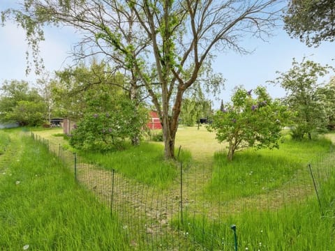 Place