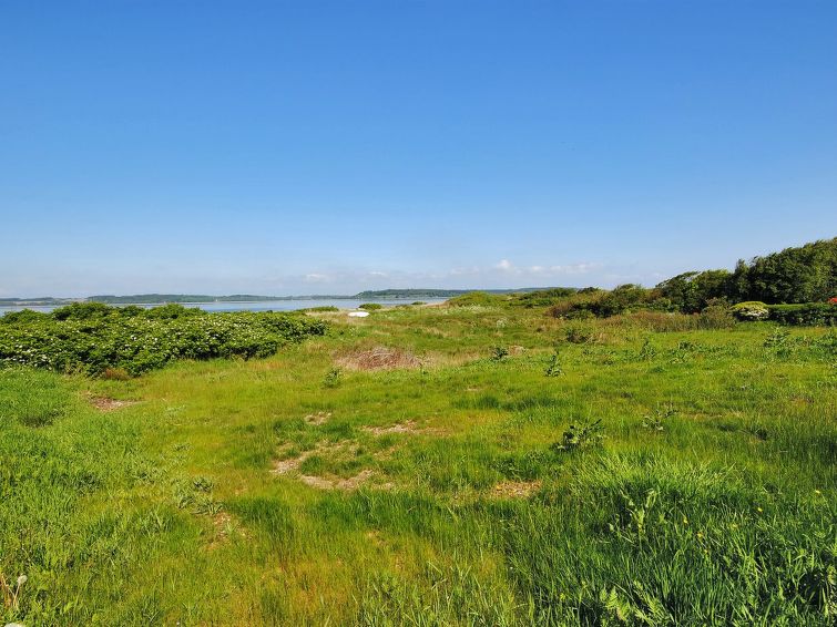 eloise-50m-to-the-fjord/