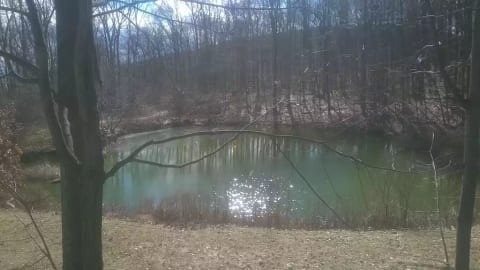 Water view