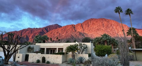 Welcome home to Divine Desert Destination