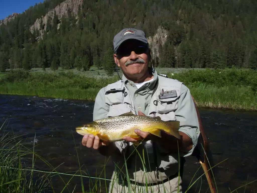 Beautiful Brown Trout