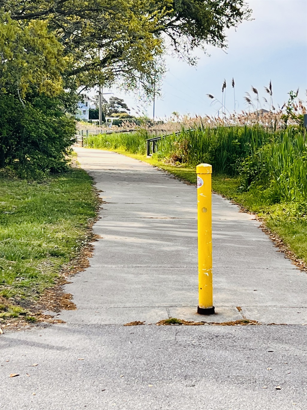 walking and/or bike path along the sound