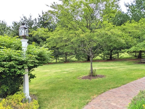 Side yard