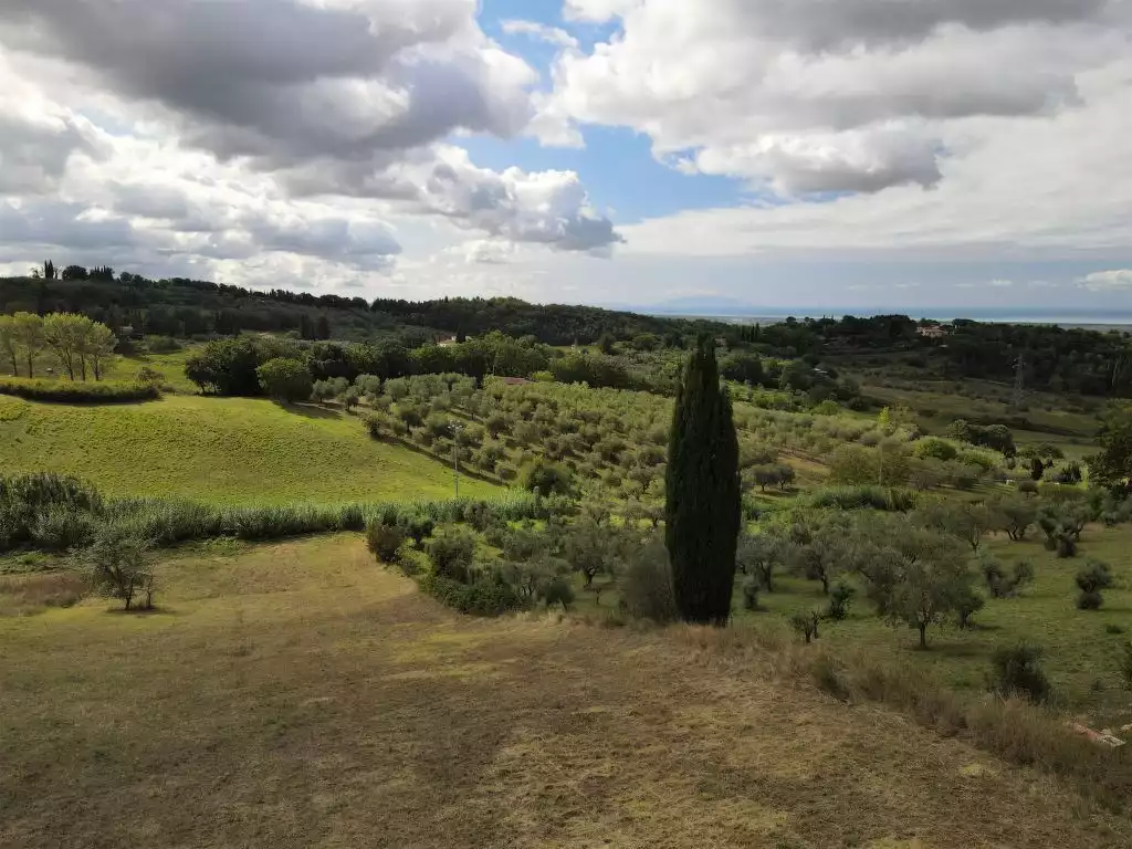 La Rocchetta (GUA241) - Guardistallo