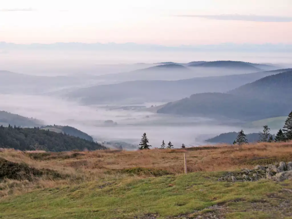 Schwarzwaldblick (BEU353) - Bernau im Schwarzwald