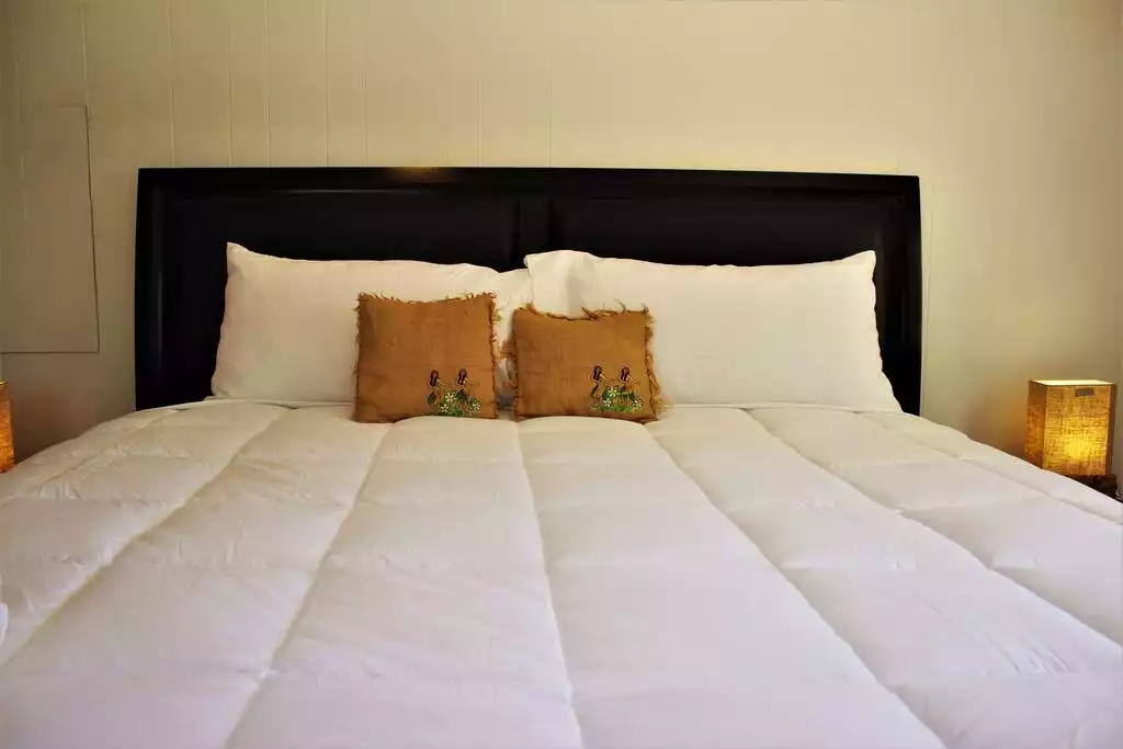 King size King size - PCBCoolest House-Private POOL-Tiki theme-Golf Cart - Carillon Beach