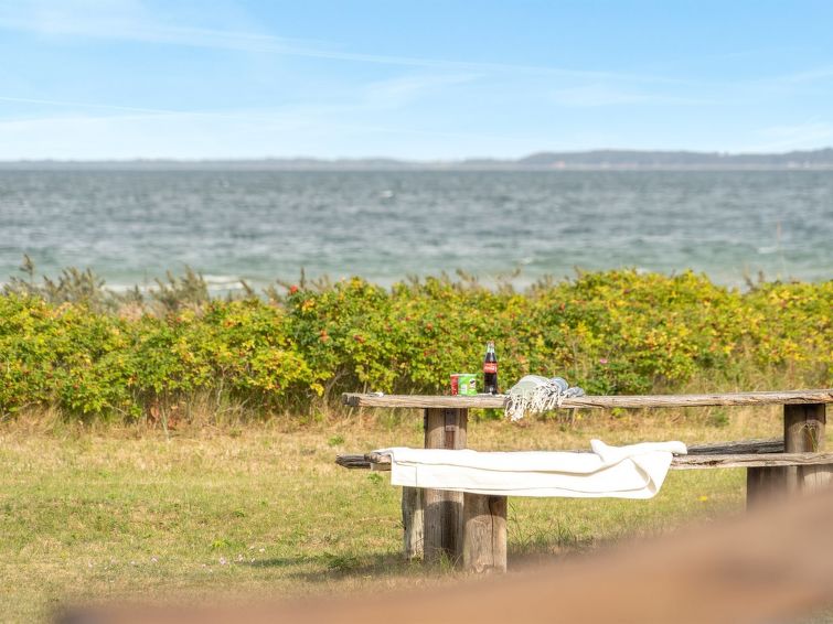 sigurd-20m-from-the-sea/