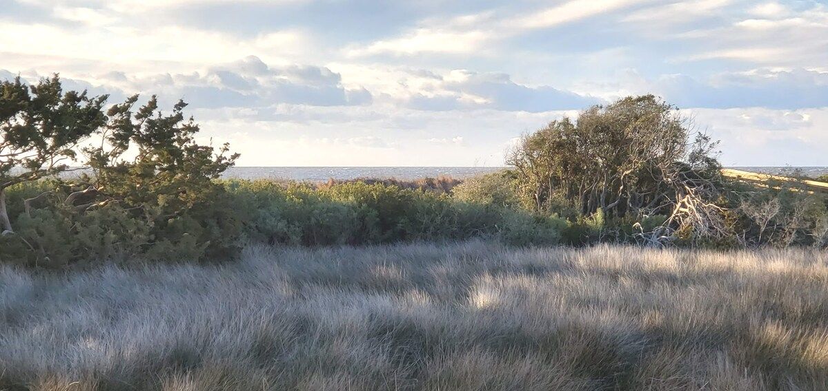 180 degrees of unobstructed direct ocean view.