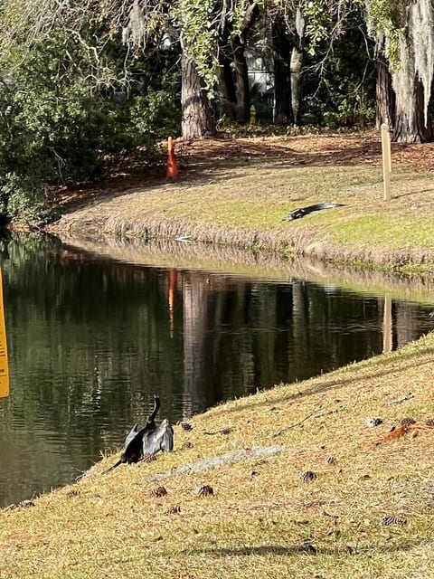 Relish the beauty of nature (from a safe distance) with the Natural Wildlife everywhere you look...