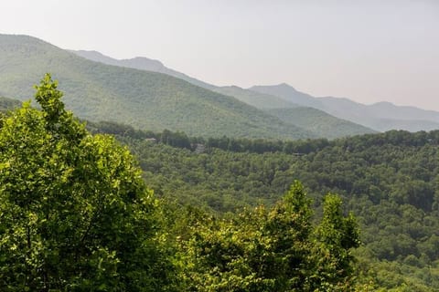View from the back deck