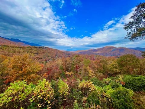 View from the back deck