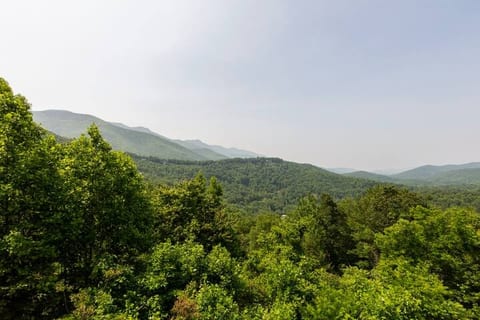 View from the back deck
