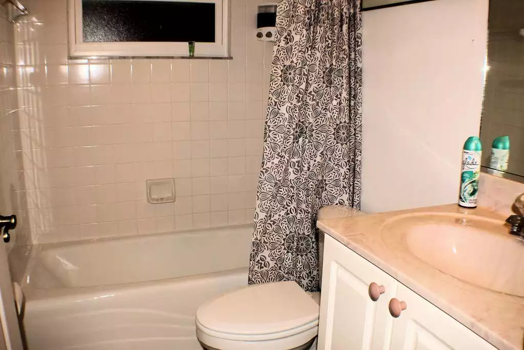 Guest Bath - Craig House with Heated Pool - Bradenton